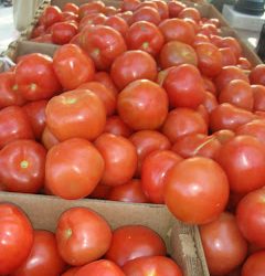 Tomato Basil Dressing