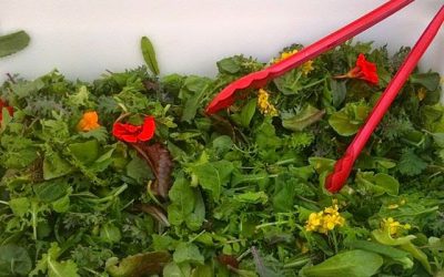 NINE Fantastic Uses for Leftover Herbs