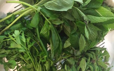 Herbalicious – Three Delicious Recipes to Use Beautiful Summer Herbs