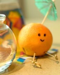 Spicy  Tuesday – Cinnamon Pomegranate Oranges – Cinnamon