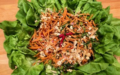 Spicy Tuesday – Asian Inspired Salad: LARB – Mint