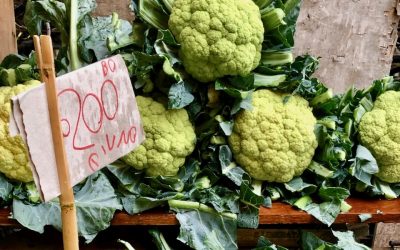 Celebrate Sicily Day Three: By Any Other Name – this Cauliflower Gratin is Still Delicious!